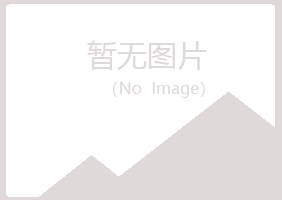 岚山区迷失会计有限公司